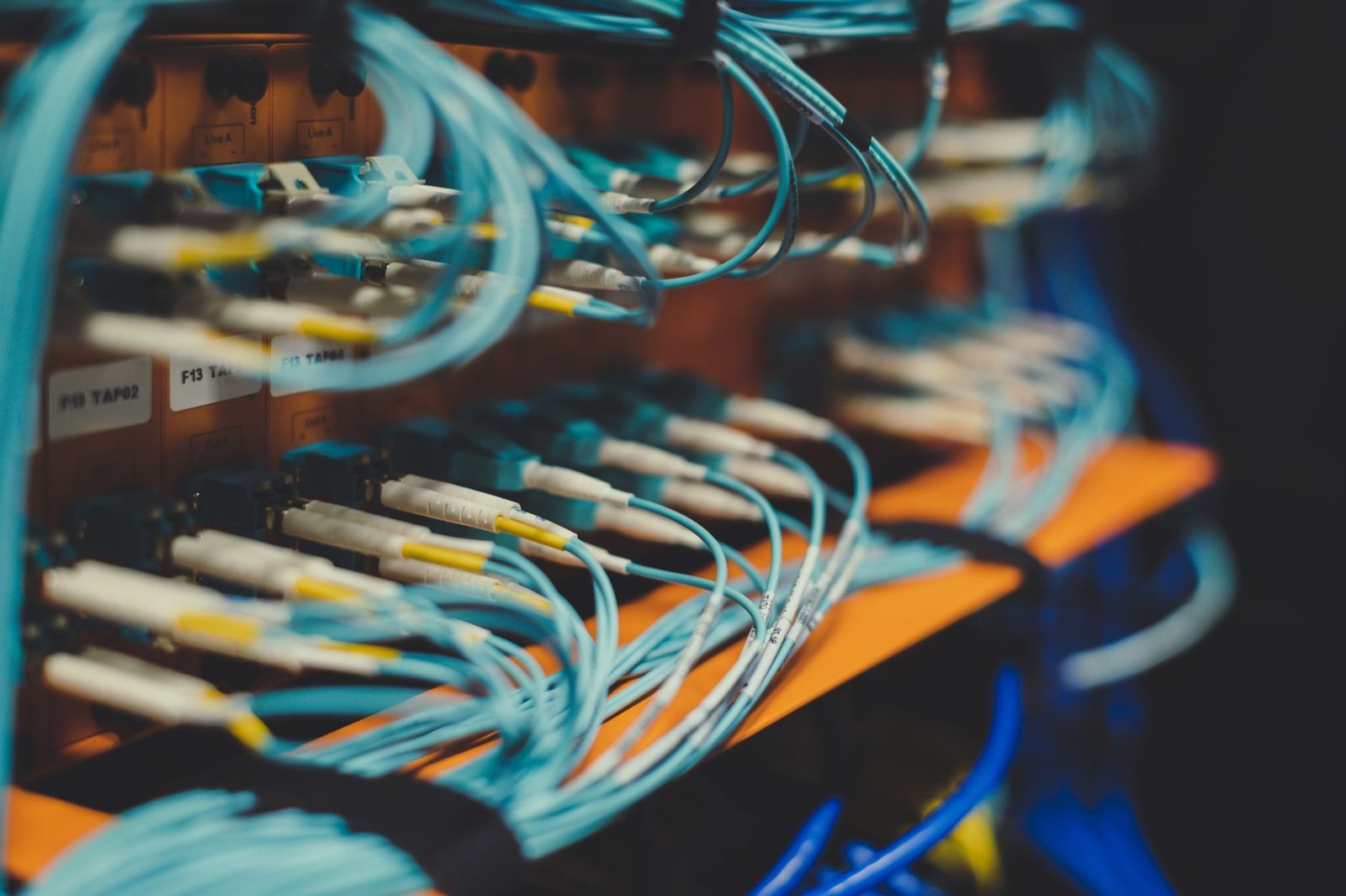 Blaue Glasfaser-Netzwerkkabel, angeschlossen an ein Patchpanel in einem Rechenzentrum